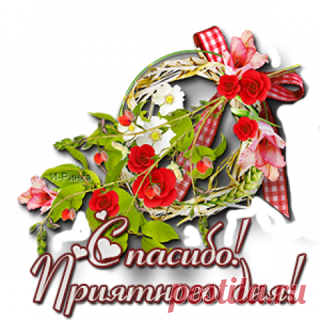 Необыкновенно вкусный и сочный заливной пирог из лаваша "Мужская радость"