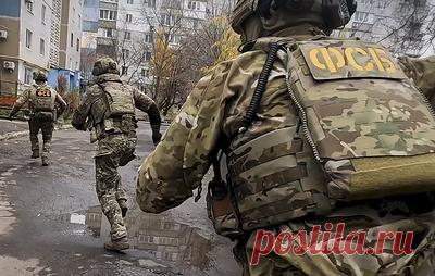 ТАСС: жителя Алтайского края задержали по подозрению в пропаганде терроризма. По данным силовиков, 19-летний мужчина действовал по указанию кураторов с Украины