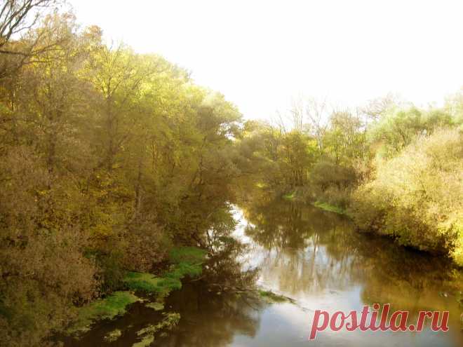 Октябрь 2013. Уды.