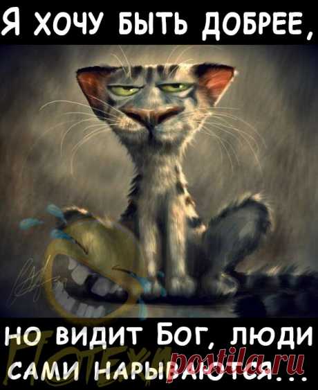 Приколы № 55. | Потеха | Яндекс Дзен