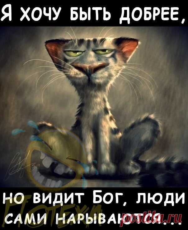 Приколы № 55. | Потеха | Яндекс Дзен