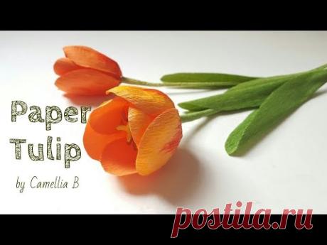 DIY- How to make paper Tulip flower from crepe paper - Realistic and easy