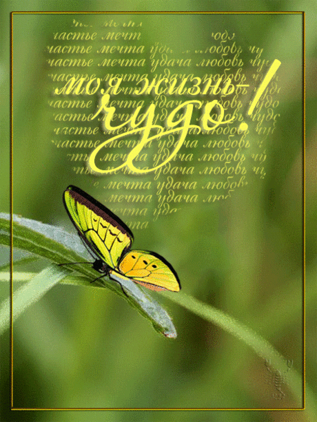 Моя жизнь - чудо!