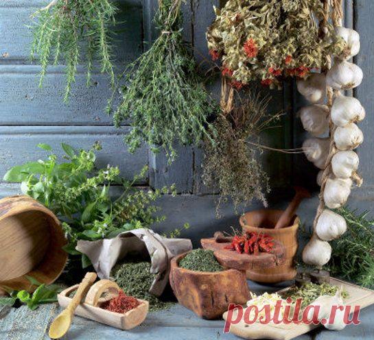 Июль - заготавливаем травы