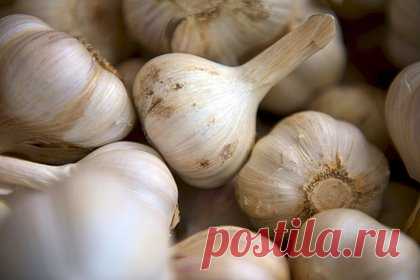 Перечислены запрещенные перед сексом продукты