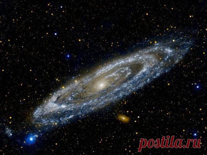 Соседка по Вселенной / Научный хит