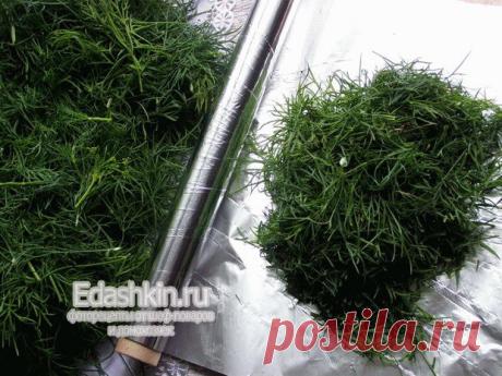 Как заморозить укроп на зиму. В пакете и в фольге | Рецепты от лучших шеф-поваров