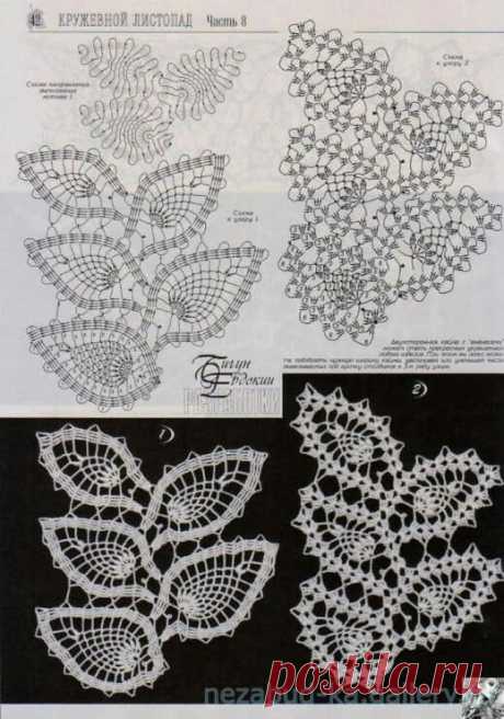 44504933_2012860265402502_2519897852759506944_n.jpg (519×740)