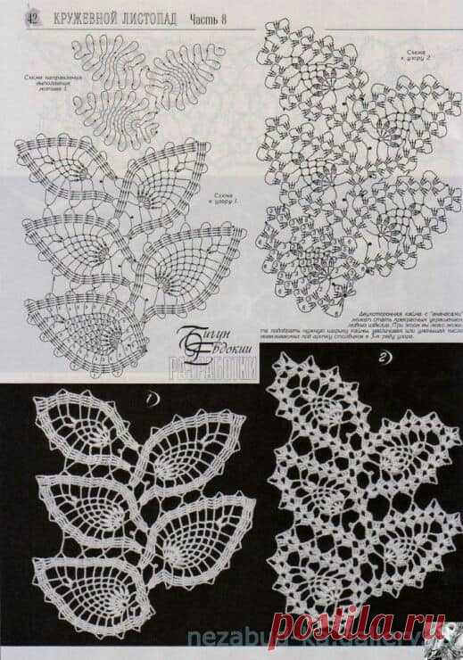 44504933_2012860265402502_2519897852759506944_n.jpg (519×740)