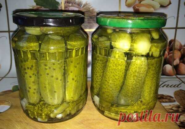 Соленые огурчики: мой лучший рецепт. Открытая банка 