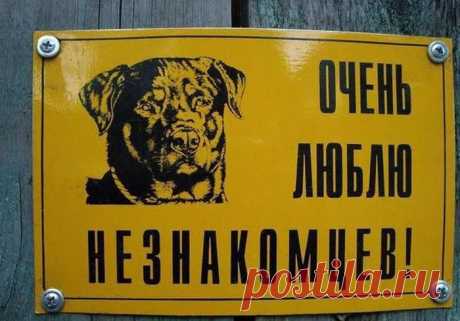 Осторожно! Очень злая собака! Таблички-ужастики)