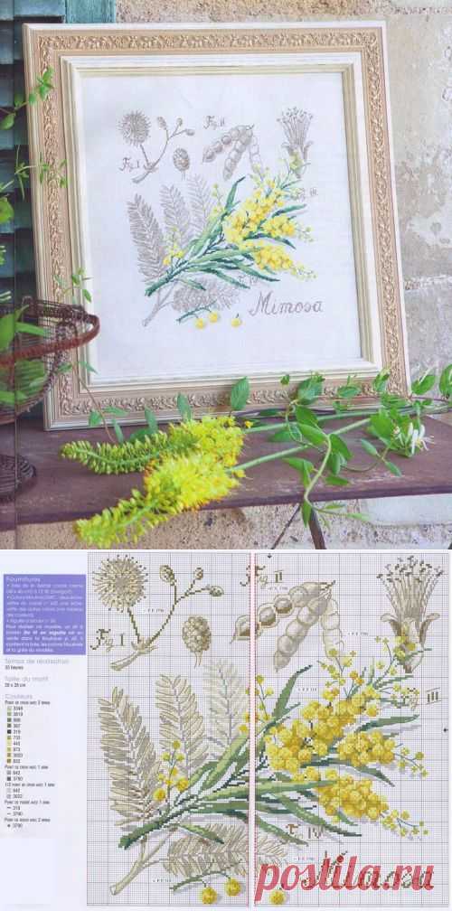 Мимоза из серии "Ботаника" / Вышивка крестом / В рукоделии