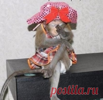 Грустила Клава на работе, так много в жизни разных бед. Вдруг губы тронула улыбка.... Обед!!!