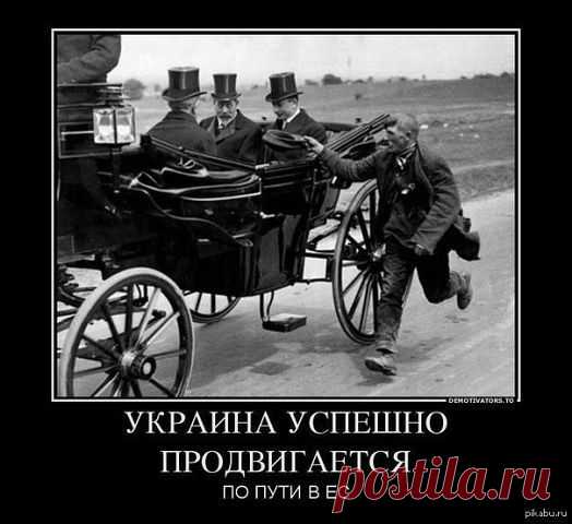 Шут-попрошайка развлекал миллиардеров в Давосе | ОБЩЕСТВО, ЧЕЛОВЕК, ЛИЧНОСТЬ