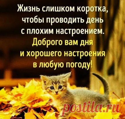 ПРИВЕТ!!! Я твоё счастье. Буду жить на твоей страничке... Не прогонишь?