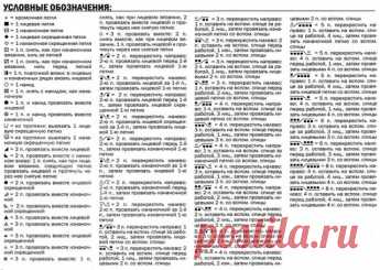 Топ на круглой кокетке