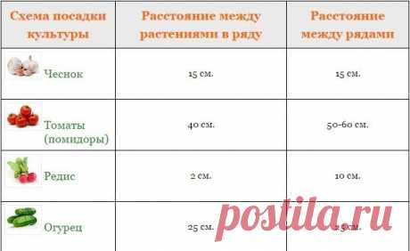 Схемы посадки: на каком расстоянии друг от друга высаживать овощи - Советы дачникам - Женский Мир