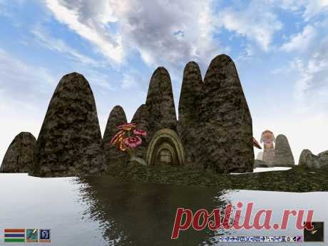Родовая гробница Неласов (Nelas Ancestral Tomb).
Расположена на маленьком островке в Море Призраков, том самом, где пасется огромный самец-нетч, которого, по заданию Принца Безумия Шеогората, нужно затыкать Вилкой Щекотки. Внутри гробница достаточно просторная, со всеми традиционными аттрибутами данмерских усыпальниц: каменными ступенями, ведущими вниз, деревянными дверями с ловушками, узкими проходными комнатами с постаментами для урн, бассейнами пепла, населяющей нежитью...
