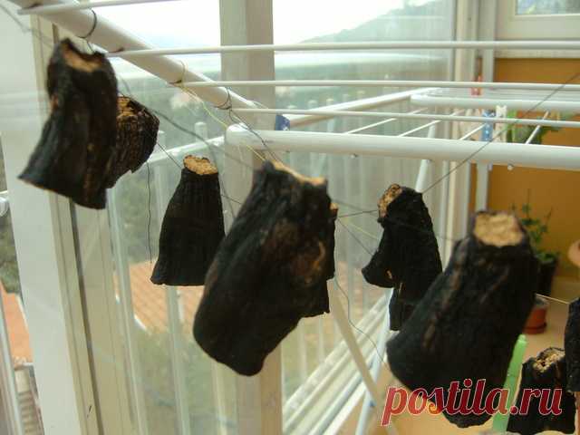 Сушеные баклажаны – пошаговый рецепт с фотографиями