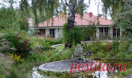 Дождевая вода на даче: сбор, отвод и использование