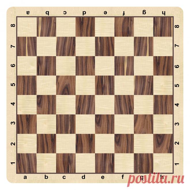 Картинки с шахматной доской (35 фото) ⭐ Забавник