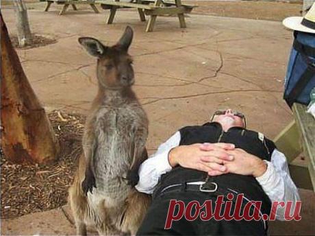 Лучшие статусы, цитаты и афоризмы. Добавлена фотография в альбом Позитив....)))