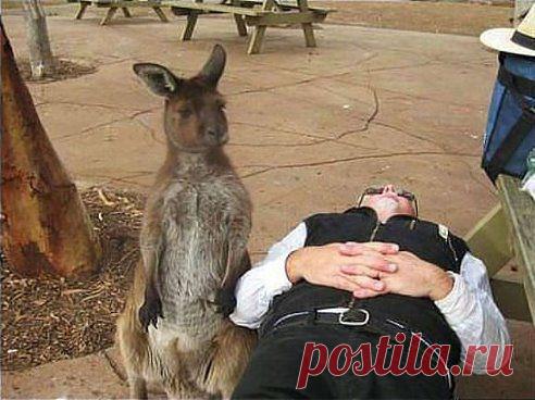 Лучшие статусы, цитаты и афоризмы. Добавлена фотография в альбом Позитив....)))