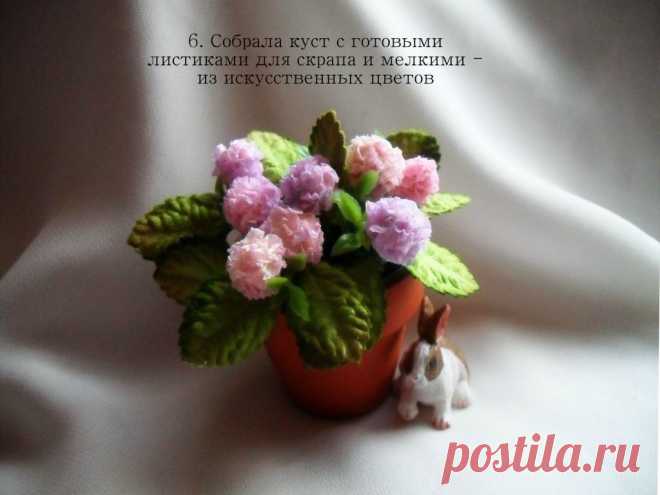 Яндекс.Фотки