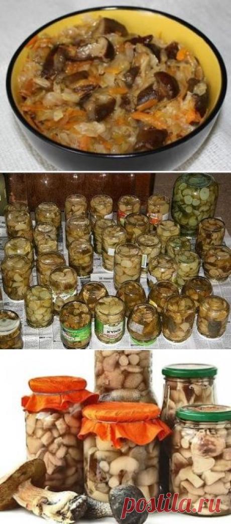 Одноклассники