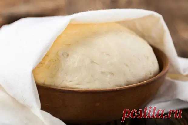 Как приготовить тесто в домашних условиях: 9 простых рецептов - Будет вкусно - 25 февраля - 43322827664 - Медиаплатформа МирТесен