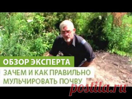 Как сделать мульчу самостоятельно.