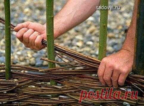 КАК СДЕЛАТЬ ПЛЕТЕНЬ НА ДАЧЕ СВОИМИ РУКАМИ.