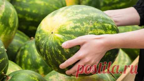 Gute Wassermelone erkennen: 6 Hinweise, dass eine Melone reif ist  Wassermelonen gehören zum Sommer wie Sonnenschein und Grillfeste. Was man den beliebten Früchten leider von außen nicht ansieht: Wie reif und süß sie sind. Oder vielleicht doch? Wir haben Tipps, woran Sie eine gute Wassermelone erkennen können – und wann Sie besser auf den Kauf verzichten.