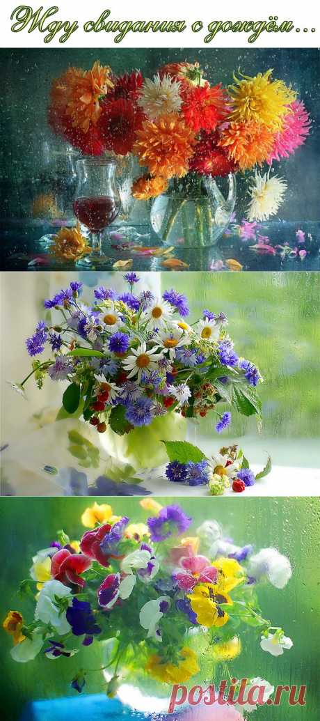 Жду свидания с дождём....