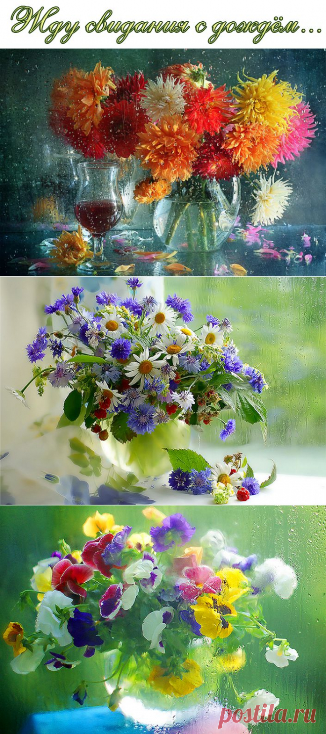 Жду свидания с дождём....