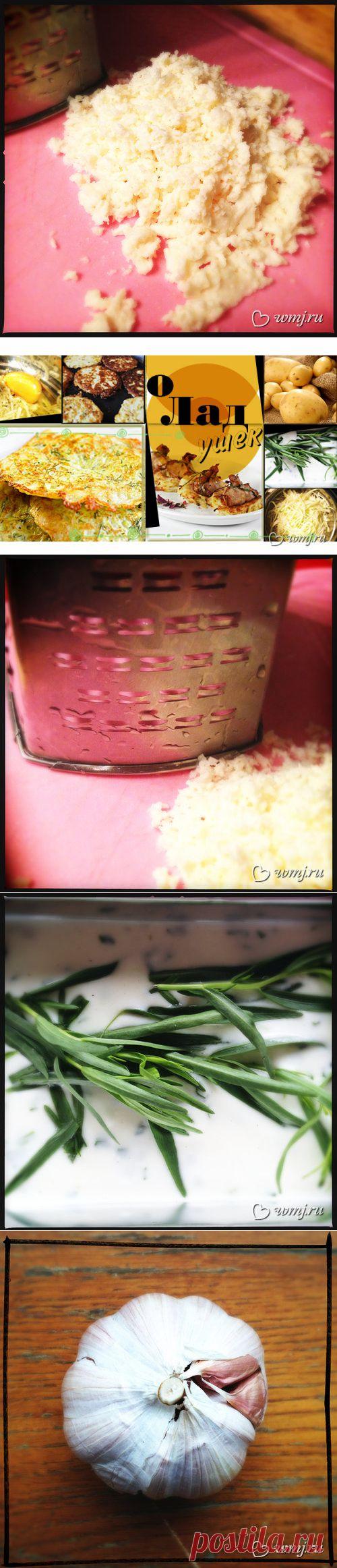 Вкусно? – Ну и ладушки! 2 рецепта кабачковых и картофельных оладий | www.wmj.ru