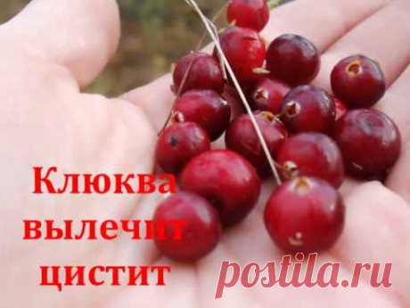 Народный рецепт, считалка-напоминалка народного лекаря - YouTube