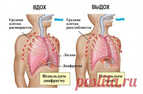 Гимнастика для предупреждения панкреатита / Будьте здоровы