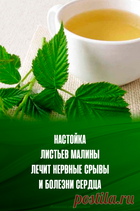 Настойка листьев малины лечит нервные срывы и болезни сердца