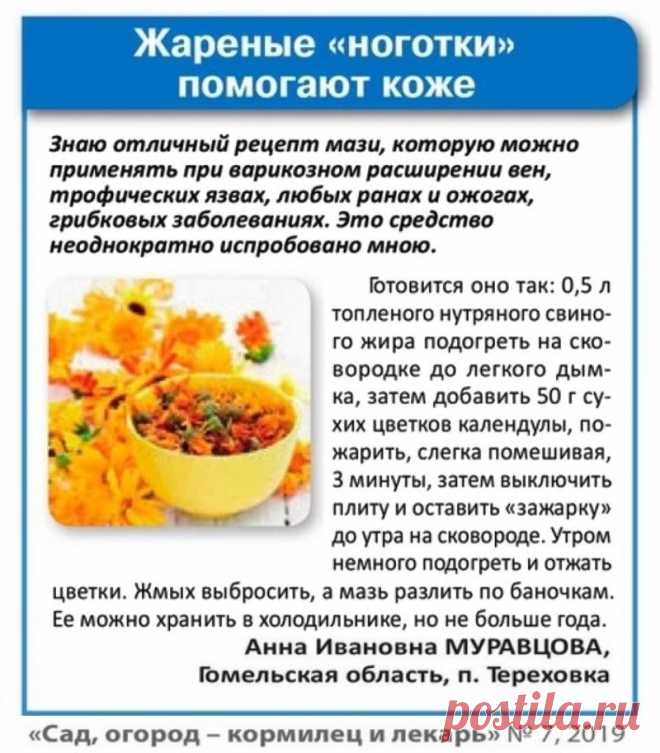 Мазь из календулы при варикозе