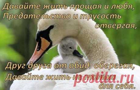 Стена
