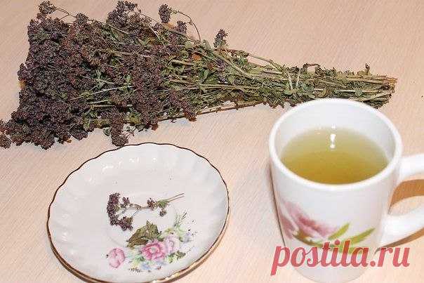 ОЧИЩЕНИЕ ЛЕГКИХ ТРАВАМИ  / Царский пир