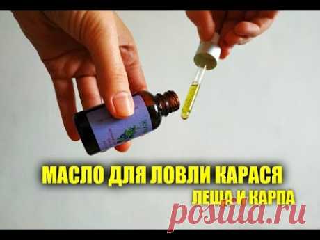 Масло для ловли карася своими руками - обеспечит улов на 100% | Блоги о рыбалке, ремонте и интерьере, даче и огороде, рецептах, красоте и правильном питании