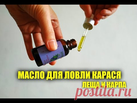 Масло для ловли карася своими руками - обеспечит улов на 100% | Блоги о рыбалке, ремонте и интерьере, даче и огороде, рецептах, красоте и правильном питании