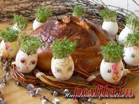 Проростки в скорлупках к Пасхе для здоровья и красоты! (мастер-класс) | ЖЕНСКИЙ МИР