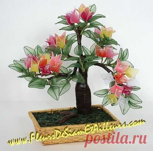 Сарочка Черныш
Израиль, Petah Tikva