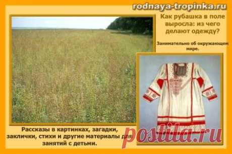 Из чего сделана одежда: как рубашка в поле выросла
