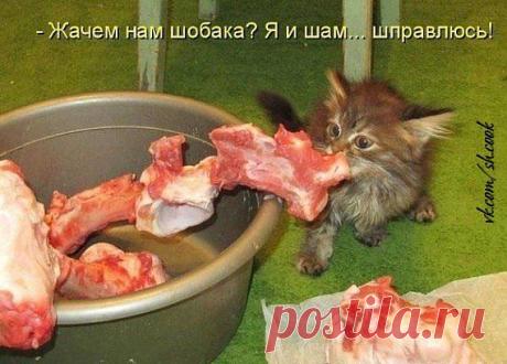 Мои закладки
