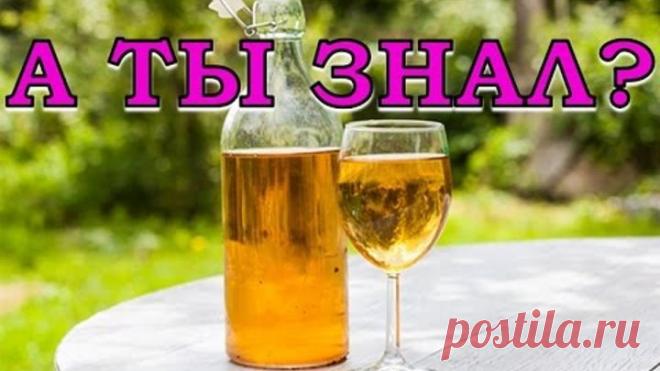 Домашнее вино из яблок. Пошаговый рецепт