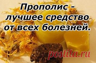 ПРОПОЛИС - ЛУЧШЕЕ СРЕДСТВО ОТ ВСЕХ БОЛЕЗНЕЙ 
 
Сочетание прополиса и молока дает особый эффект: помимо лечения простудных и легочных заболеваний улучшается общее самочувствие, сон, снимается раздражительность, усталость. 
 
 10%-ную настойку прополиса лучше всего купить в аптеке. Пузырька емкостью 25 мл вам хватит надолго, а стоит он всего несколько рублей. 
 
 Принимать средство следует вечером, перед сном по 20 капель в 100 мл горячего молока в течении 10 дней один раз в...